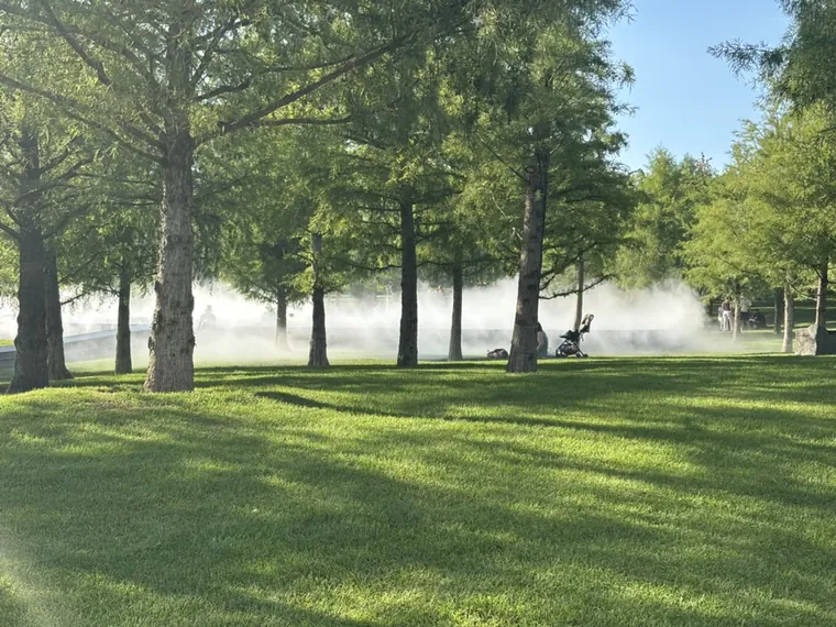 Cooling fog among trees, Sergey Galitsky Park, Krasnodar