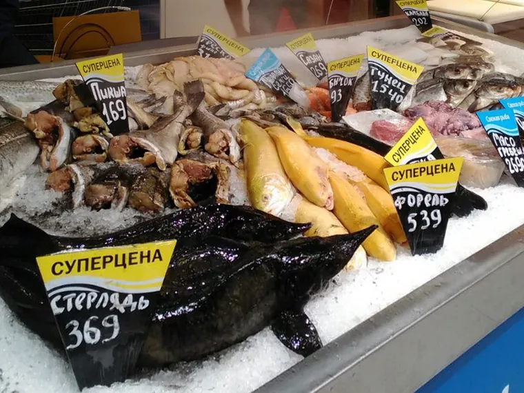 Fish on ice in a humidified display case