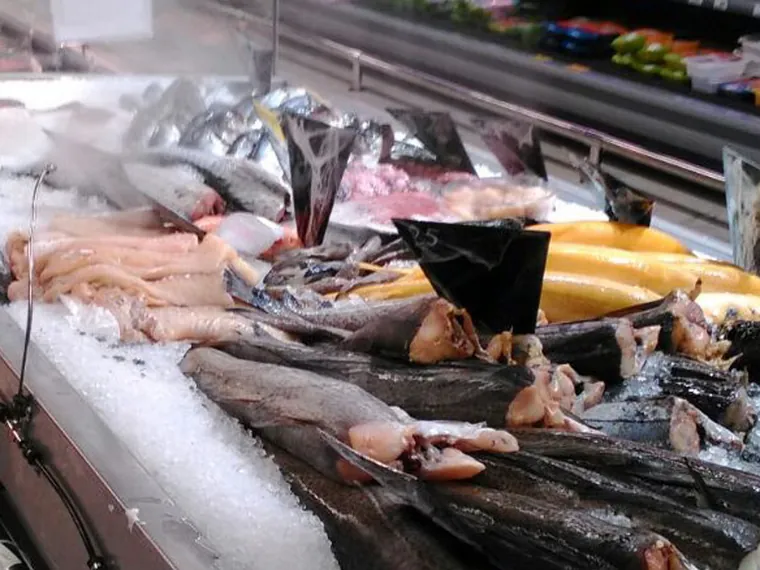 Fish display case with nozzle line along the edge
