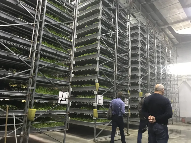 Multi-tier aeroponic racks in a commercial vertical farm